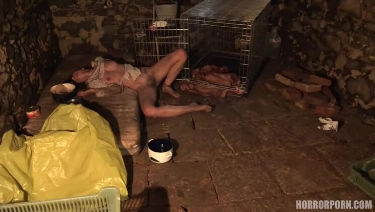 Caged and Fucked: Taboo 3