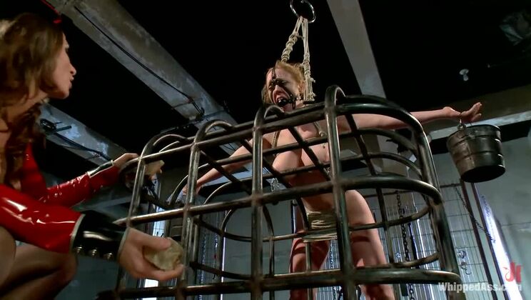 [WhippedAss] - BDSM Strap-on Lesbians: Ariel Carmine Dominates Dee - Dee Williams - Ariel Carmine