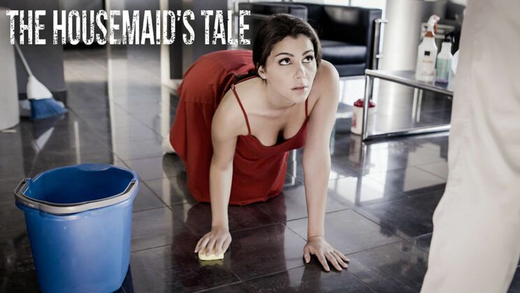 The Housemaid's Dirty Tale