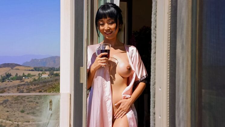 [Brazzers] - Japanese Interracial Sex