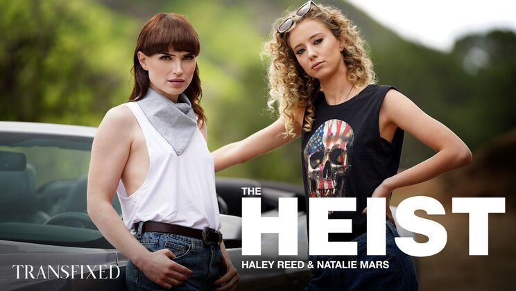 [Transfixed] - Tattooed Thieves | The Heist with Haley Reed